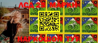 гидропоника Можайск