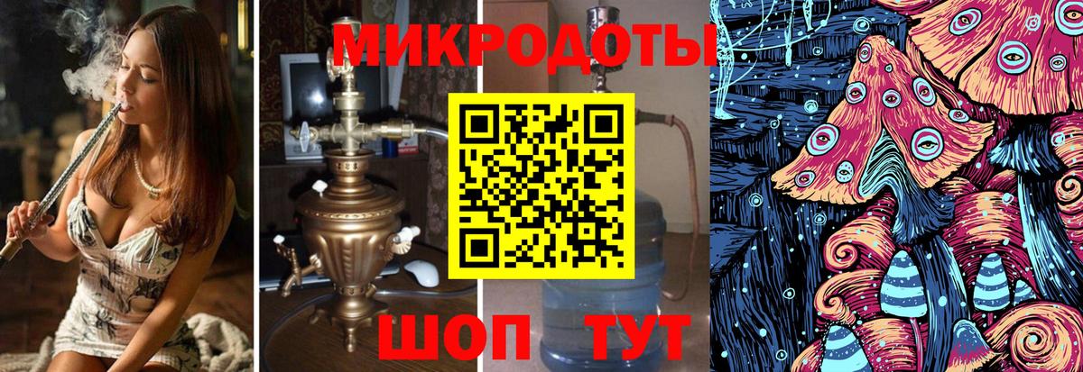 Псилоцибиновые грибы Psilocybe Ростов-на-Дону