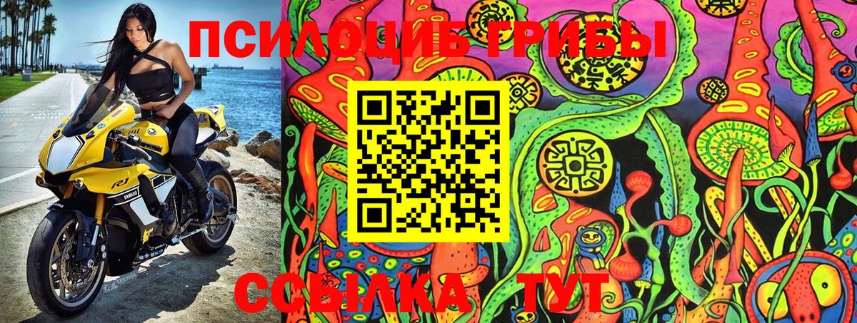 Ростов-на-Дону  Псилоцибиновые грибы Psilocybine cubensis  что такое наркотик  Вход с VPN 