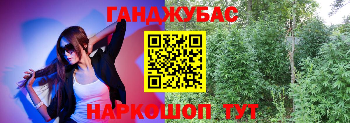 Конопля гибрид  Каннабис сатива  Вход с VPN  Ростов-на-Дону  Конопля план 